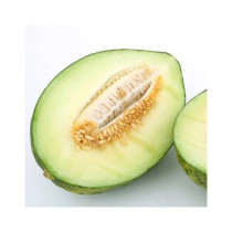 Honigmelone Piel de Sapo
