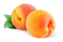 Pfirsiche, orangefleischig Percoca