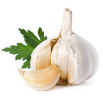 Knoblauch, getrocknet