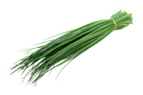 Schnittlauch