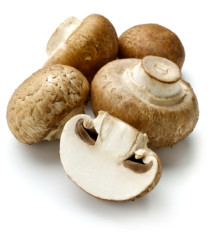 Steinchampignons