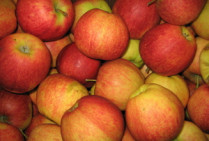 Apfel Jonagored