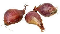 Schalotten