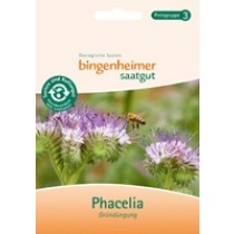 Phazelie - Bienenfreund - Blumen (Saatgut) 1St