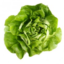 Kopfsalat - grün - ( Regional )