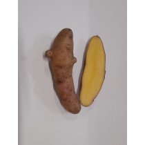 Kartoffel Bamberger Hörnchen