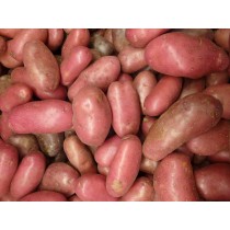 Kartoffel Rosella vfk., rot 12,5kg