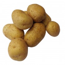 Kartoffel Jelly (Übergröße) vfk.