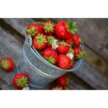 Erdbeeren 250g - Schälchen 