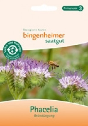 Phazelie - Bienenfreund - Blumen (Saatgut) 1St