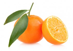Orangen Navelina/ Lane Late Kal 2-3