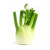 Fenchel