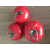 Tomaten, rund