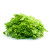 Endiviensalat