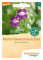 Kletterlöwenmäulchen - Blumen (Saatgut) 1St