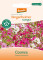 Cosmea - Blumen (Saatgut) 1St