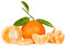 Satsumas Kal. 2-3 (Schale grün, Fleisch orange)