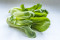 Pak Choi (Chin. Senfkohl) 400g/ St