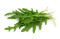 Rucola-Salat